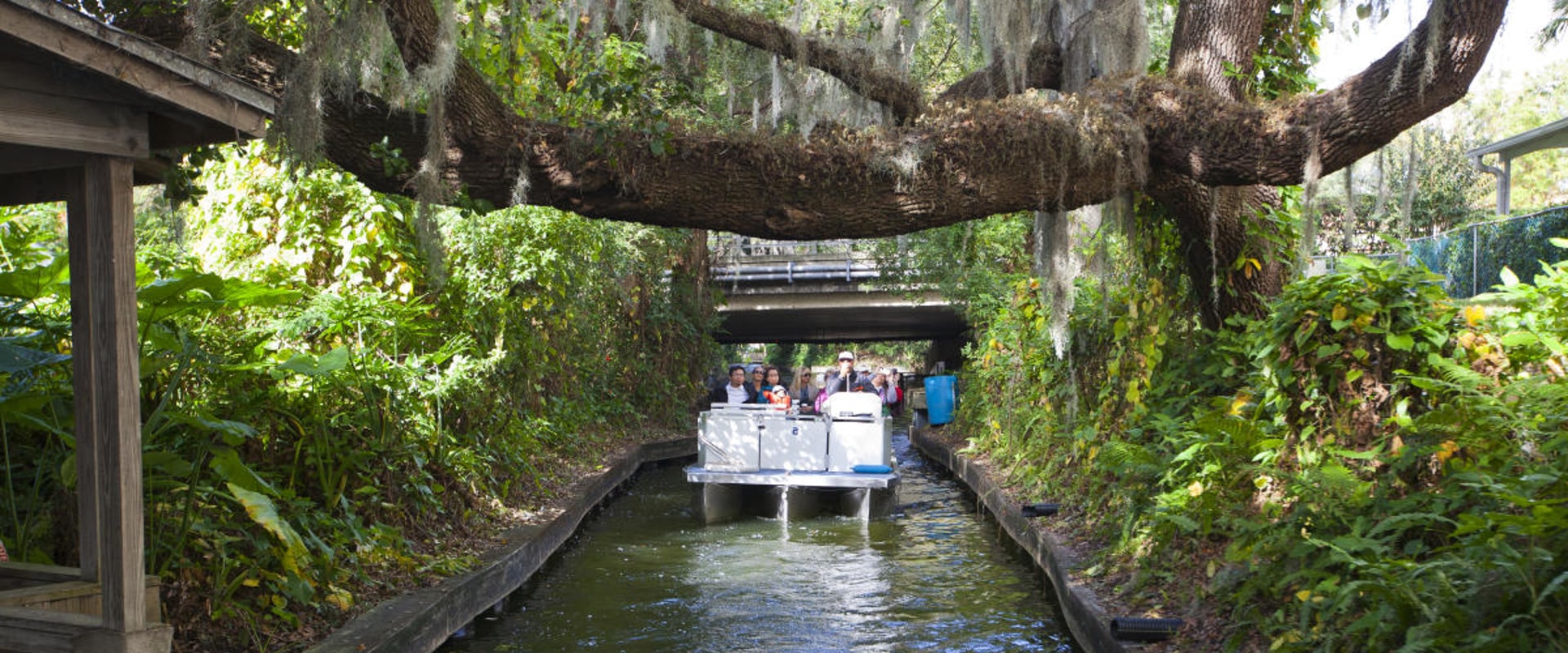 Exploring Native Plants and Community Events in Central Florida