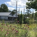 Growing and Caring for Native Plants in Central Florida Gardens and Landscapes