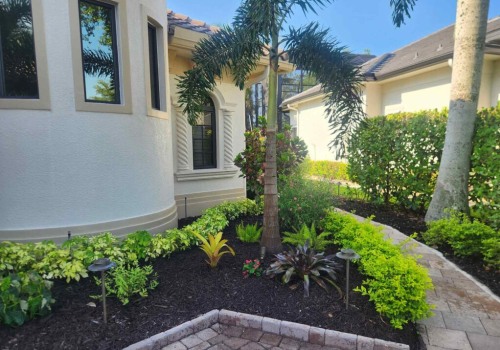 Designing for Wildlife: How Home Remodels Can Support Florida’s Native Ecosystems